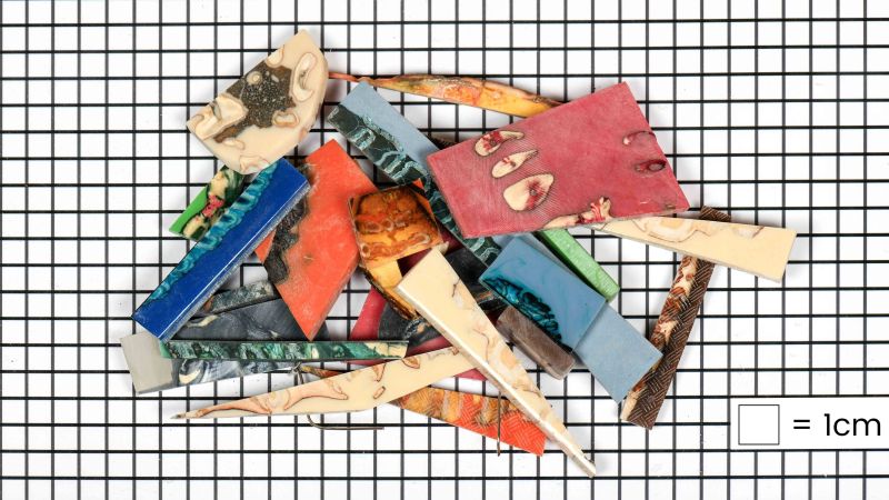 Viele verschiedene Reste von Mammut-Backenzähnen