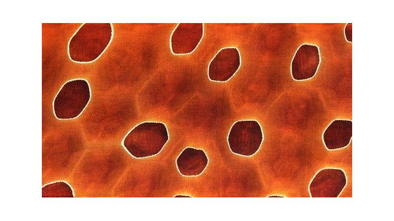 Nobile "nido di vespe " - Metal gas e resina epossidica - per coltelli