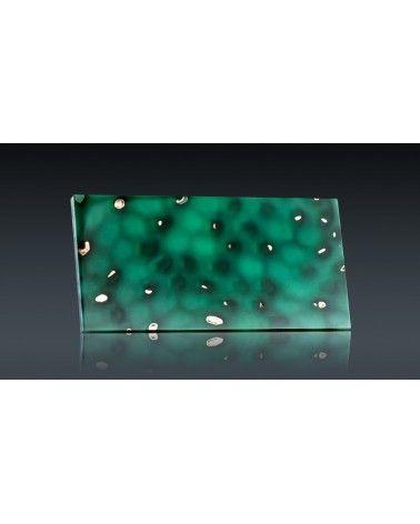 NID C PHOSPHO ET PHOTO