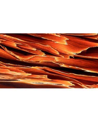 Rejon - natural vegetable fiber and resin / unique textures