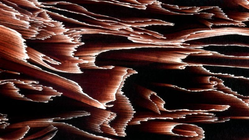 Rejon - natural vegetable fiber and resin / unique textures