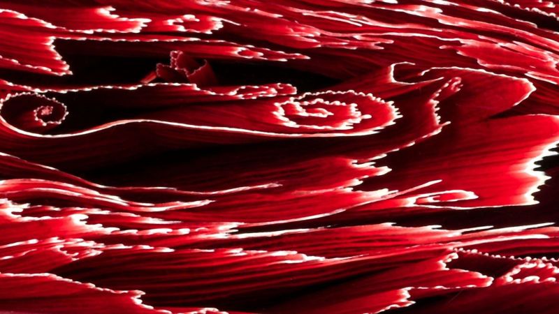 Rejon - natural vegetable fiber and resin / unique textures