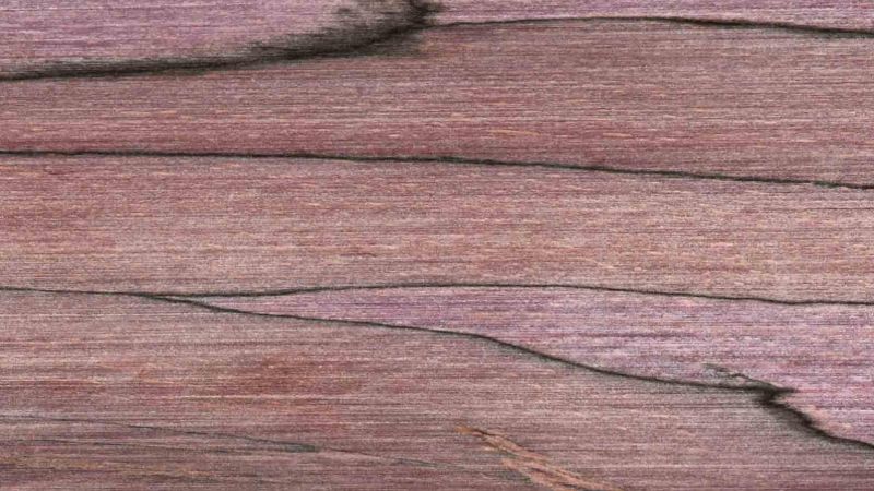 Stabilized purple beech block - Raffir