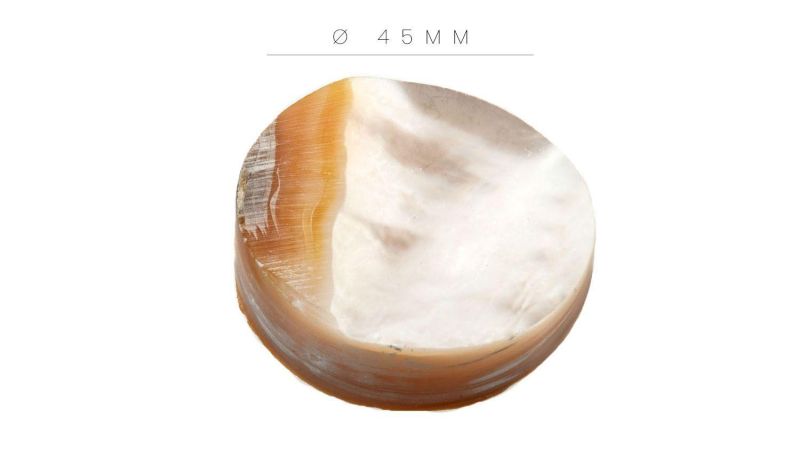 Pion de Nacre blanche - Diamètre 44 mm - Epaisseur 6 mm