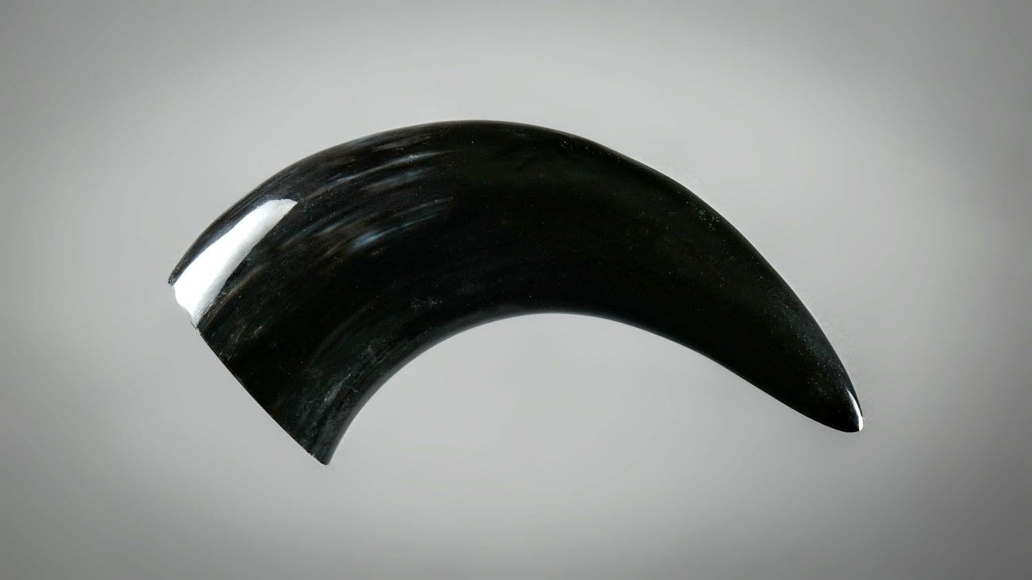 22011579