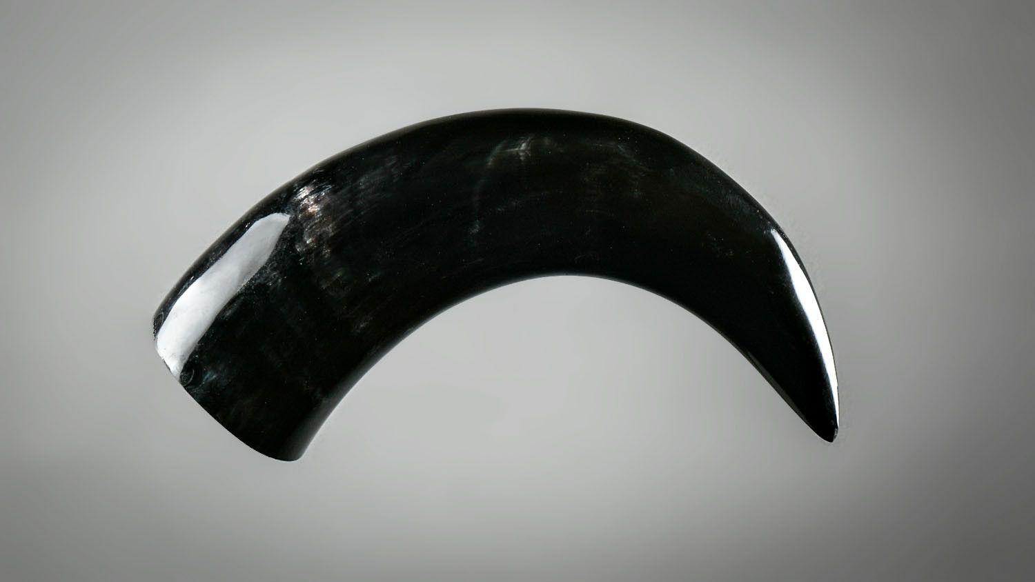 22011582