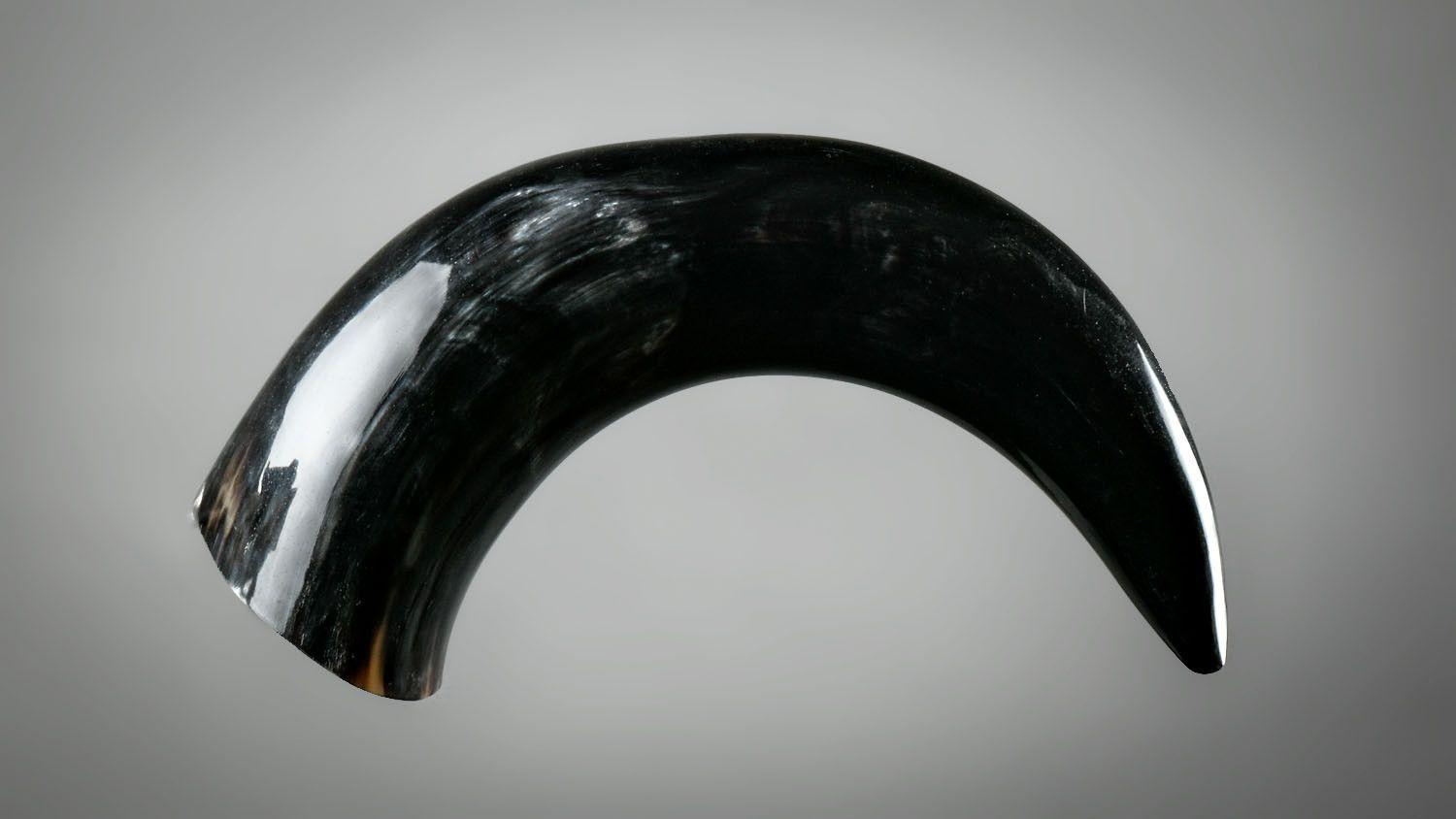 22011585