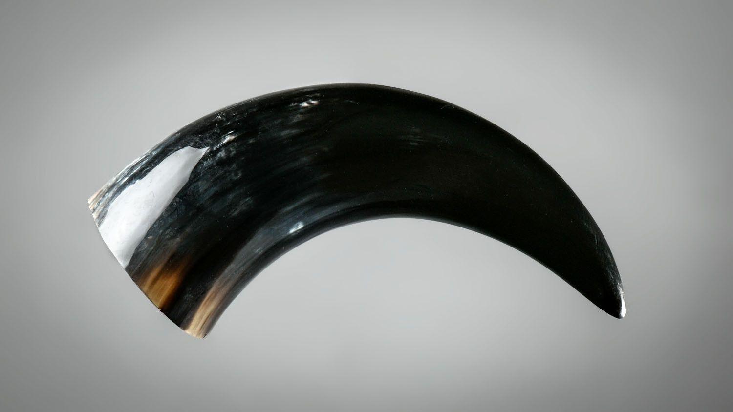 22011593