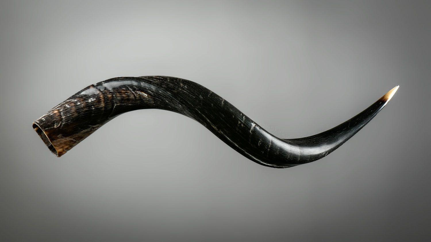 22011644