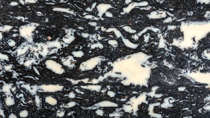 Manico sterco di vacca di Aubrac - aspetto torboso