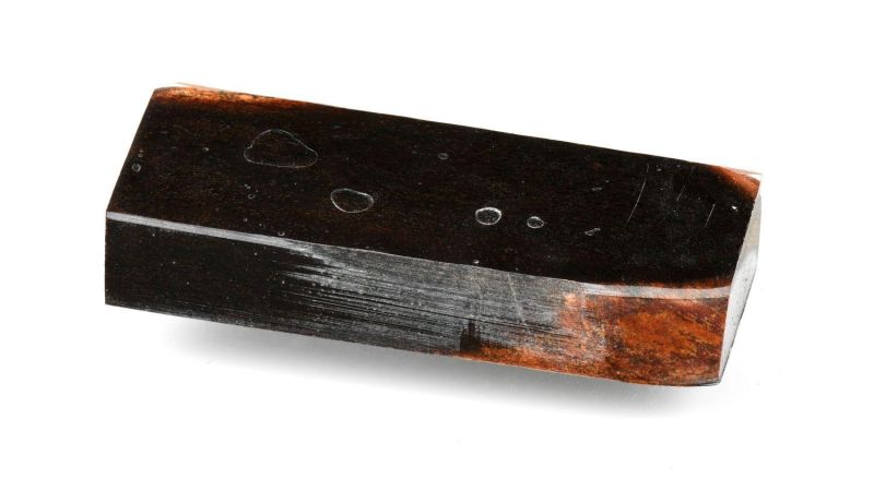 Bloc de Bois de Cerf Géant fossile stabilisé Raffir