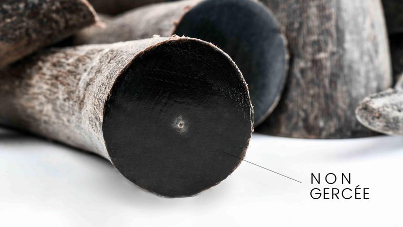 Zebu schwarze Spitze: das widerstandsfähige und ästhetische Material für Ihre Kreationen