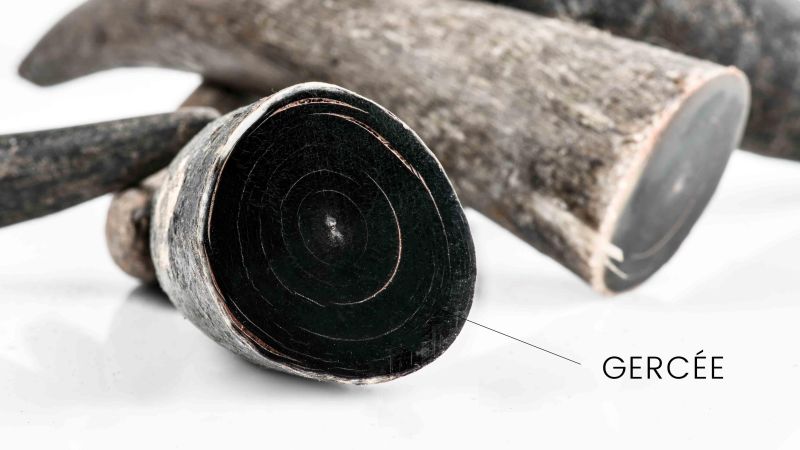 Zebu black tip: a resistant and aesthetic material for your creations