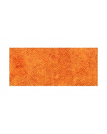 Placa de inclusión de la selva