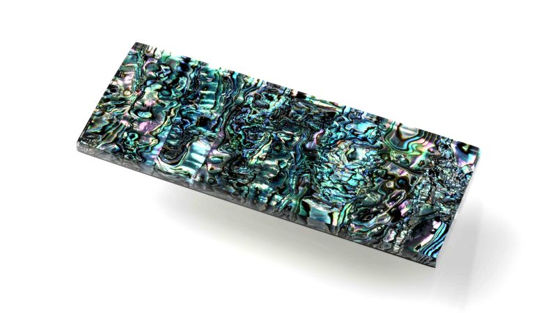 Eingeschlossene Abalone-Platte: Atlantik