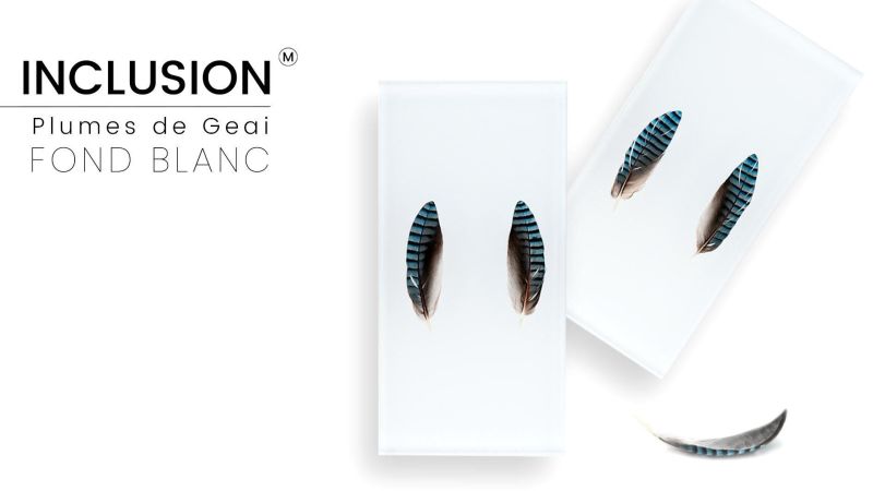 Pluma de Arrendajo Verdadero de Calidad Superior - Resina PMMA - Hecho en Francia