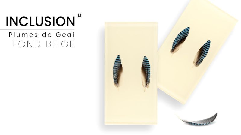 Superior Quality Real Jay Feather - PMMA Resin - Made in France
