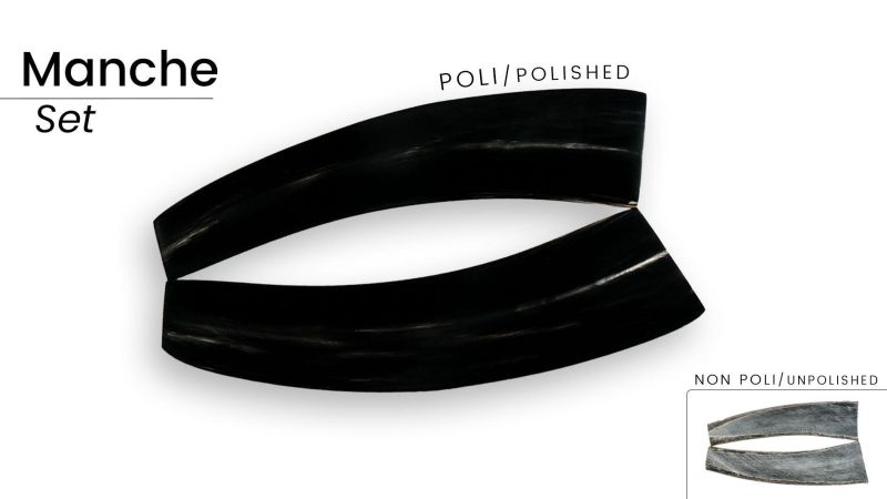 Manche pointe noir de Zébu - la référence