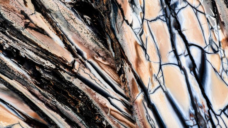 Griff pulpe mammut stabilisiert