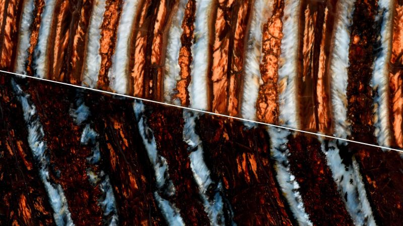 Manches de Molaire de Mammouth stabilisé Raffir - Marron