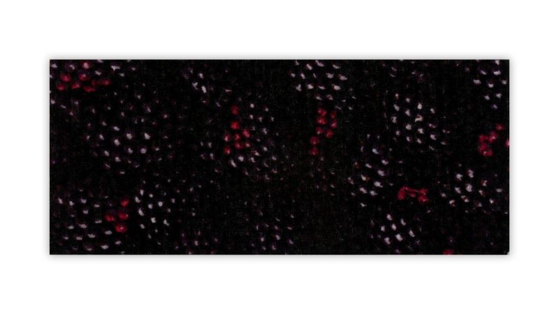 Piastra di Inclusione Tessuto Mora - Sfondo Champagne