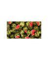 Inclusion Plate Watermelon Fabric - Champagne Background