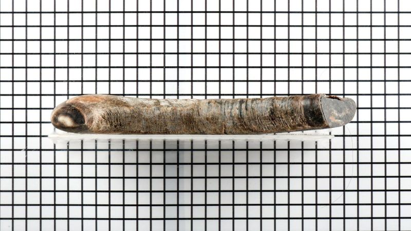 Punta di Corno di Bufalo Biondo