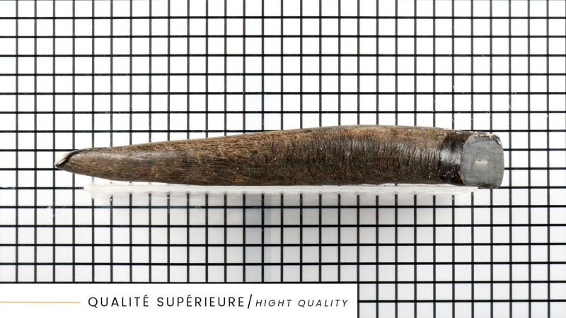 Pointe blonde de Corne de buffle - Qualité supérieure