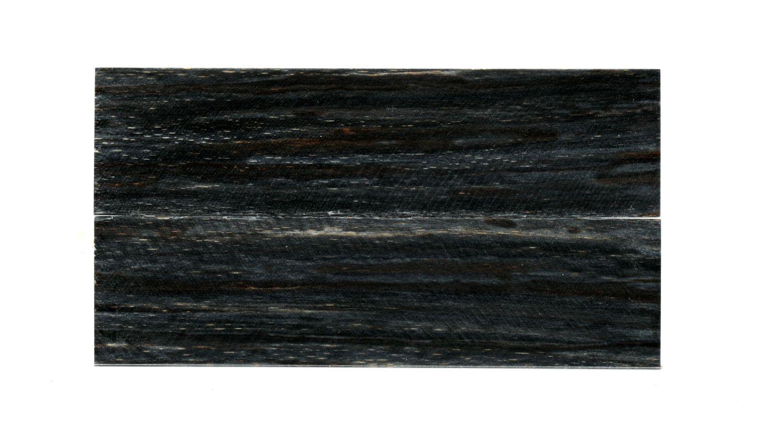 22101261