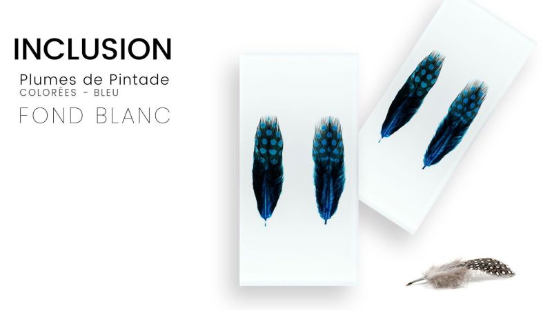 Inclusión de plumas reales de pintada de colores - fondo blanco - Resina PMMA - hecho en Francia