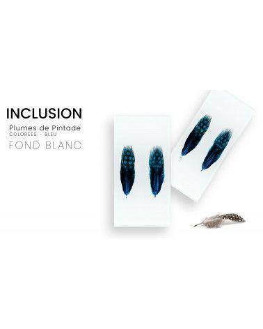 Inclusion de véritables plûmes de pintade colorée fond blanc - Résine PMMA - made in France