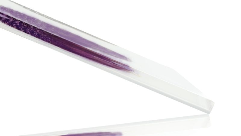 Real colored guinea fowl feathers inclusion - white background - PMMA resin - made in France