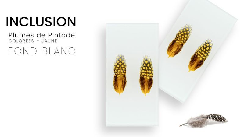 Inclusión de plumas reales de pintada de colores - fondo blanco - Resina PMMA - hecho en Francia