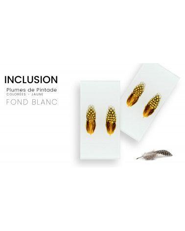 Inclusion de véritables plûmes de pintade colorée fond blanc - Résine PMMA - made in France