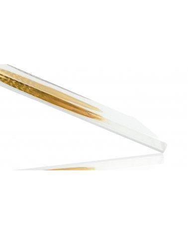 Inclusion de véritables plûmes de pintade colorée fond blanc - Résine PMMA - made in France