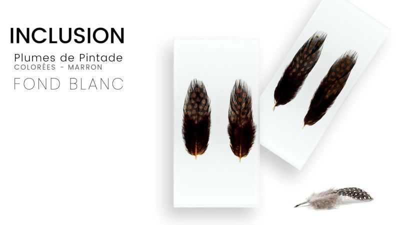 Inclusion de véritables plûmes de pintade colorée fond blanc - Résine PMMA - made in France