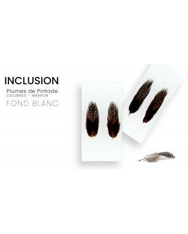 Inclusion de véritables plûmes de pintade colorée fond blanc - Résine PMMA - made in France