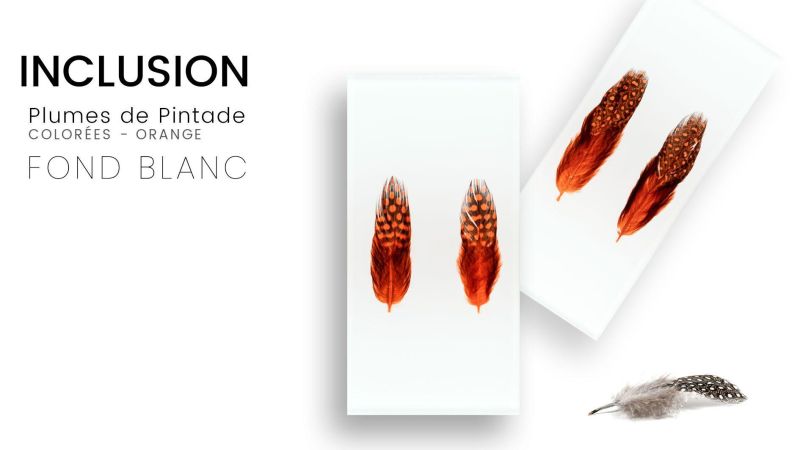 Inclusión de plumas reales de pintada de colores - fondo blanco - Resina PMMA - hecho en Francia