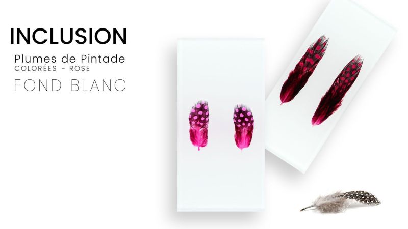 Inclusione di vere piume di faraona colorate - sfondo bianco - Resina PMMA - fatto in Francia