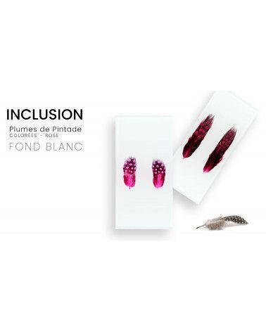 Inclusión de plumas reales de pintada de colores - fondo blanco - Resina PMMA - hecho en Francia