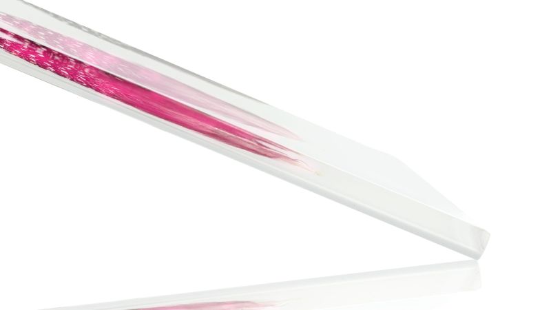 Inclusion de véritables plûmes de pintade colorée fond blanc - Résine PMMA - made in France