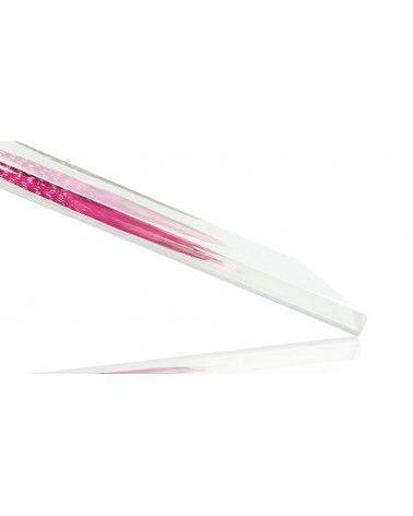 Inclusion de véritables plûmes de pintade colorée fond blanc - Résine PMMA - made in France