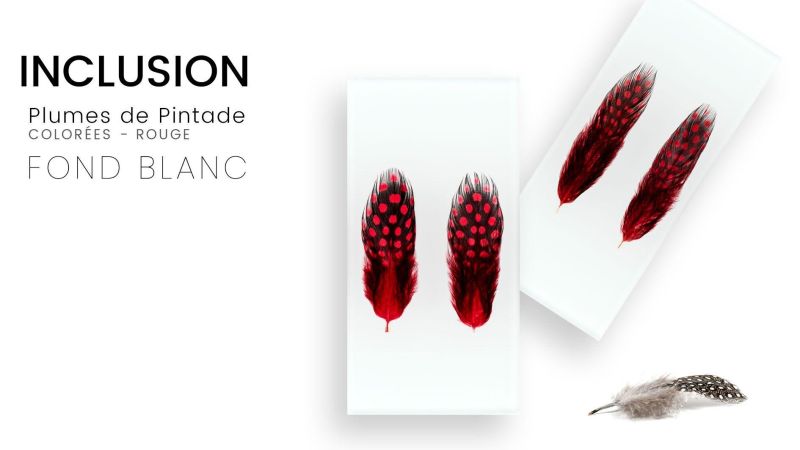 Inclusión de plumas reales de pintada de colores - fondo blanco - Resina PMMA - hecho en Francia