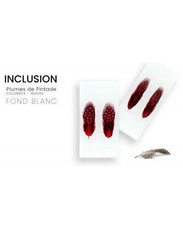 Inclusión de plumas reales de pintada de colores - fondo blanco - Resina PMMA - hecho en Francia