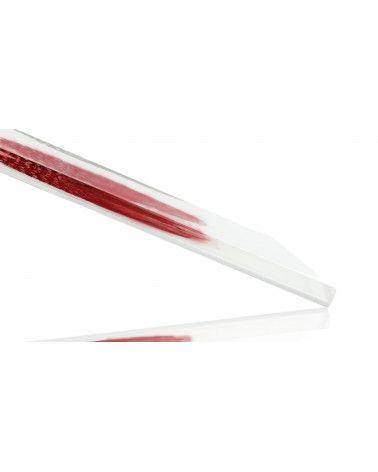 Inclusión de plumas reales de pintada de colores - fondo blanco - Resina PMMA - hecho en Francia