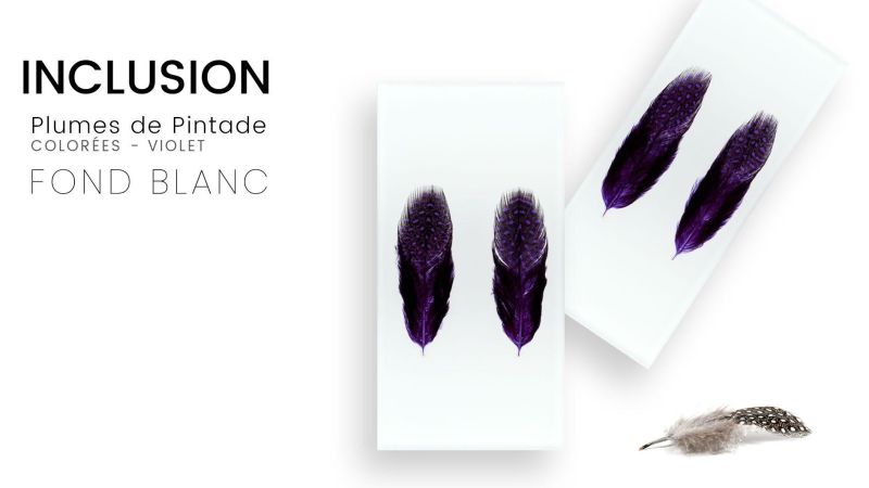 Real colored guinea fowl feathers inclusion - white background - PMMA resin - made in France