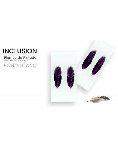 Real colored guinea fowl feathers inclusion - white background - PMMA resin - made in France