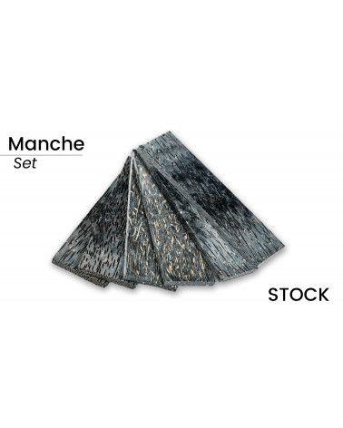 Palma de África Estabilizada en Placas (x2) - 100% Hecho en Francia