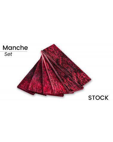 Palma de África Estabilizada en Placas (x2) - 100% Hecho en Francia