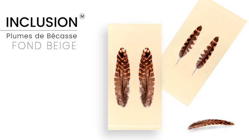 Inclusión de plumas reales de becada - Resina PMMA - hecho a mano en Francia